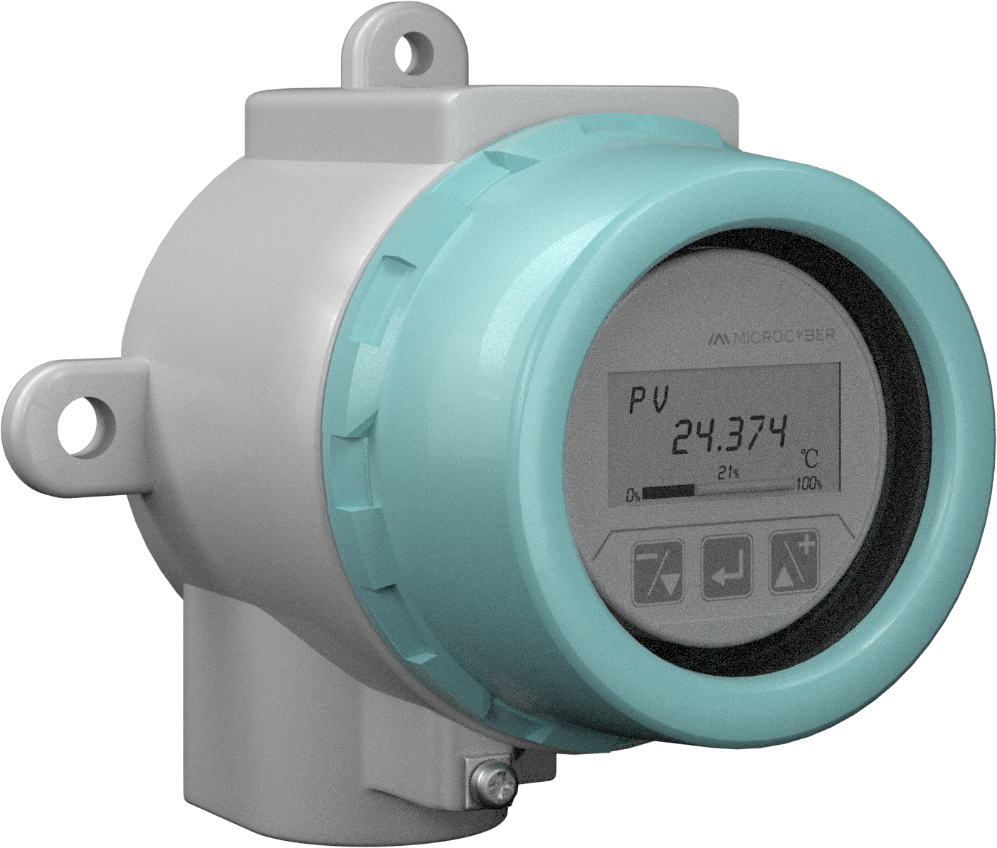 NCS-TT306 双通道智能温度变送器
