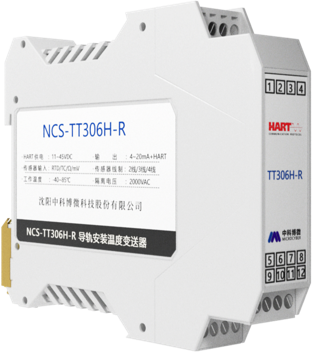 NCS-TT306 双通道智能温度变送器